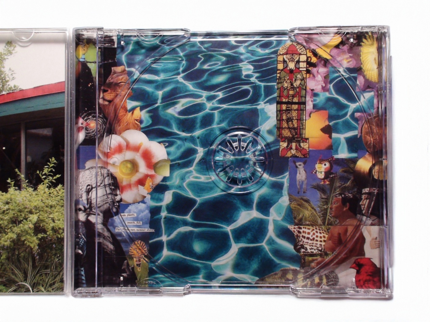 REAL JUNGLE 2 CD