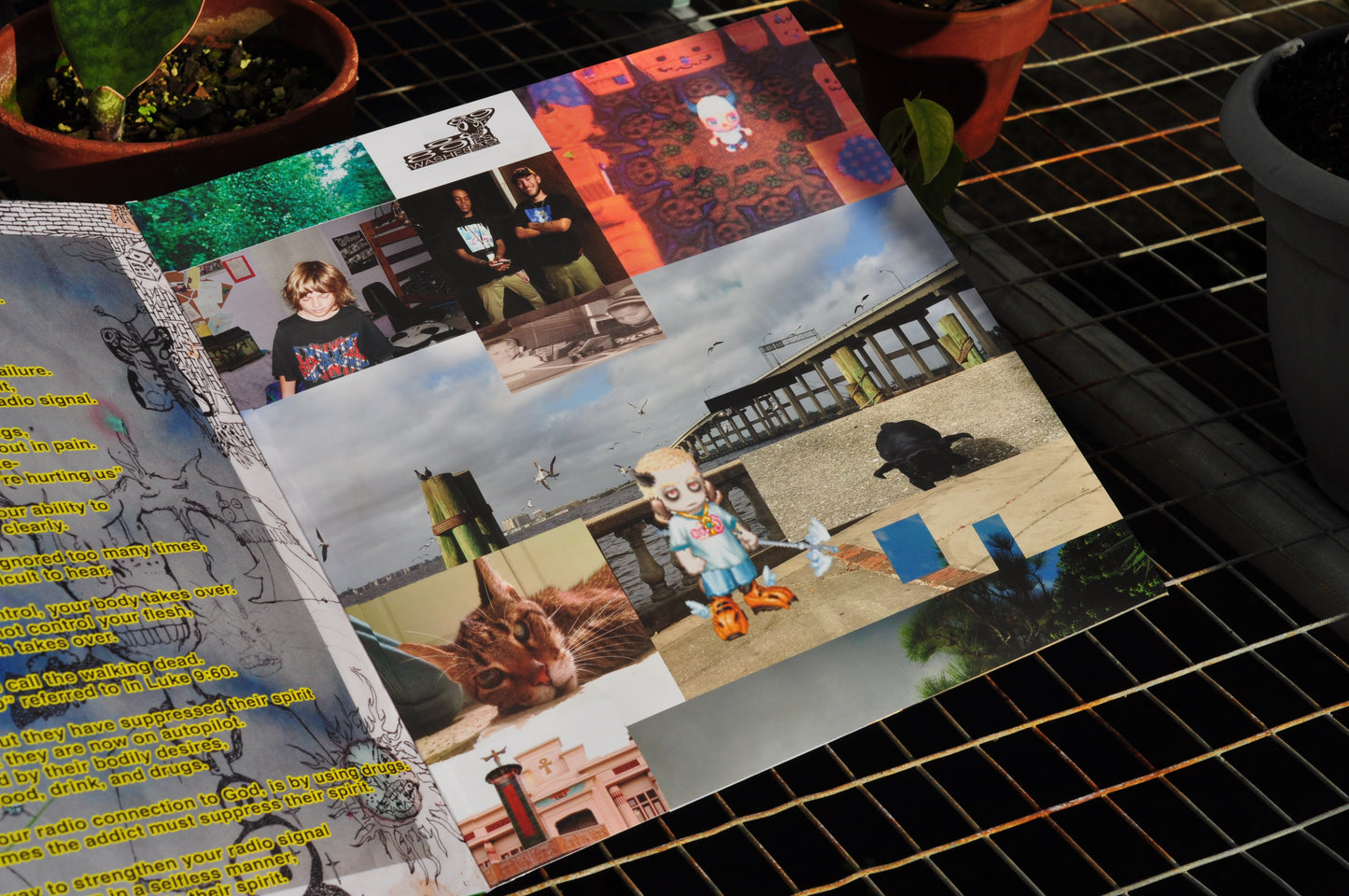 hopper1000 DELUXE EDITION